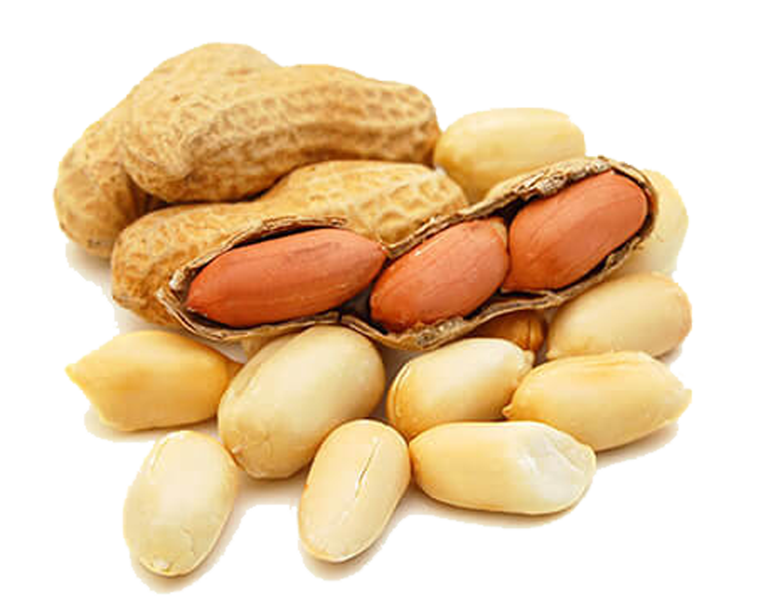 Арахис Peanuts. Арахисовые орехи. Земляной орех арахис. Арахис на белом фоне.